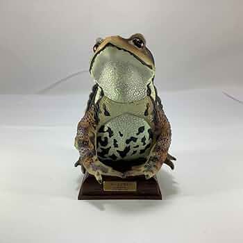 激レア‼︎希少‼︎ネイチャーテクニカラー ニホンヒキガエル 旧版】ネイチャーテクニカラー 日本のカエル 「ニホンヒキガエル